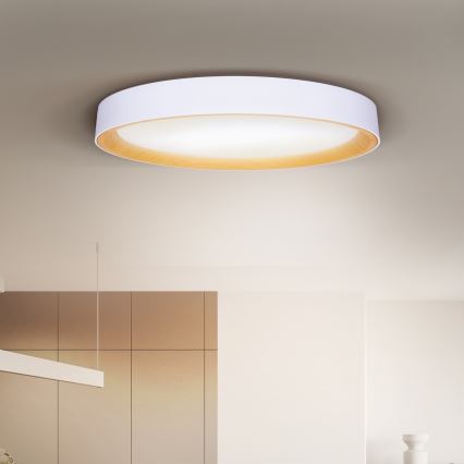 Brilagi - Candeeiro de tecto LED dimerizável LARIOS LED/72W/230V branco Ø 59 cm + controlo remoto