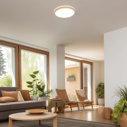 Brilagi - Luminária de teto LED dimerizável PINE LED/24W/230V diâmetro 42 cm 3000-6500K + comando remoto
