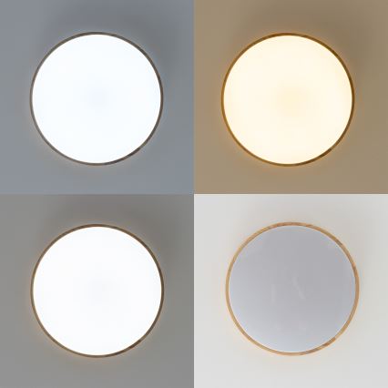 Brilagi - Luminária de teto LED regulável PINE LED/60W/230V Ø 52 cm 3000-6500K + controlo remoto