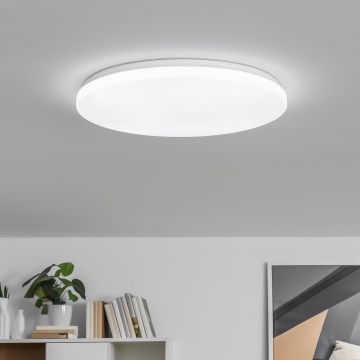 Brilagi - Luminária de teto LED regulável PINE LED/24W/230V Ø 42 cm 3000-6500K + comando remoto