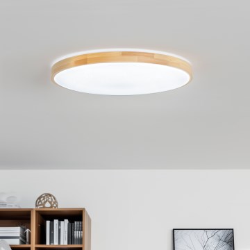 Brilagi - Luminária de teto LED regulável PINE LED/60W/230V Ø 52 cm 3000-6500K + controlo remoto
