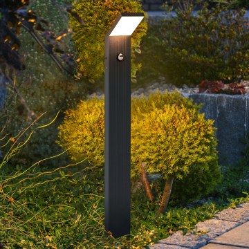 Brilagi - Luminária exterior LED com sensor RIANO LED/8W/230V antracite IP65
