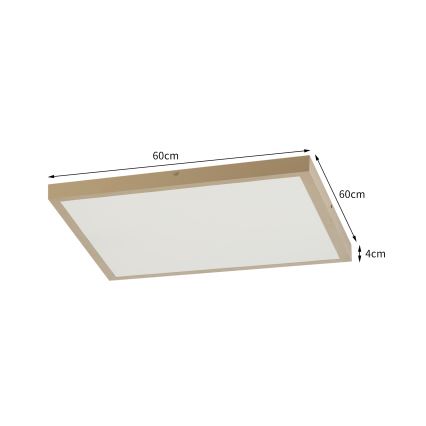 Brilagi - Candeeiro de tecto para casa de banho LED dimerizável FRAME SMART LED/50W/230V 60x60 cm 3000-6000K IP44 bege + comando remoto