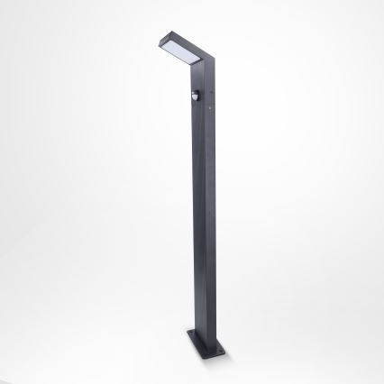 Brilagi - Luminária exterior LED com sensor RIANO LED/8W/230V antracite IP65
