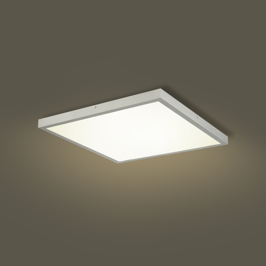 Brilagi - LED Candeeiro de tecto para casa de banho FRAME LED/50W/230V 3000/4000/6000K 60x60 cm IP44 prateado
