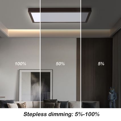 Brilagi - Luminária de teto para casa de banho LED regulável FRAME SMART LED/30W/230V 30x60 cm 3000-6000K IP44 preto + controlo remoto
