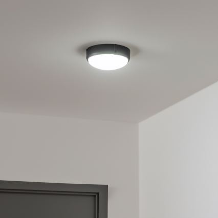 Brilagi - Luz industrial de teto LED SIMA LED/12W/230V IP65 preto antigo