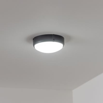 Brilagi - Luz industrial de teto LED SIMA LED/12W/230V IP65 preto antigo
