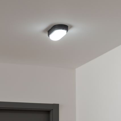 Brilagi - Luz industrial de teto LED SIMA LED/12W/230V IP65 preto antigo