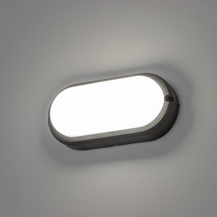 Brilagi - Luz industrial de teto LED SIMA LED/12W/230V IP65 preto antigo