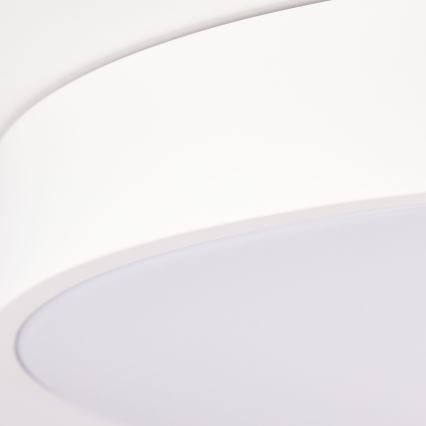 Brilliant - Luminária de teto LED dimerizável SLIMLINE LED/60W/230V 3000-6500K Ø 49 cm branca + comando remoto