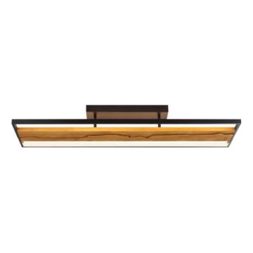 Brilliant - Candeeiro de tecto LED regulável THUNDER LED/42W/230V pinho