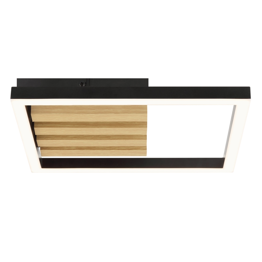 Brilliant - Candeeiro de teto LED dimerizável CALMA LED/15W/230V preto