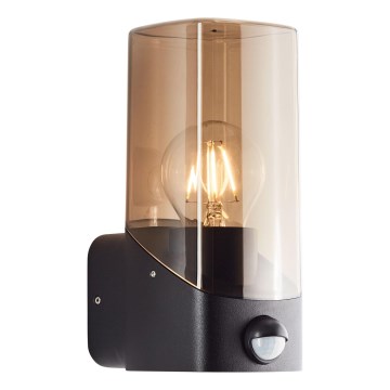 Brilliant - Iluminação de parede exterior com sensor MINOU 1xE27/10W/230V IP44 preto/fumado