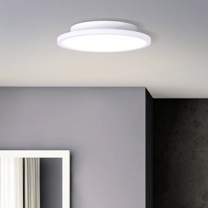Brilliant - Iluminação de teto LED BUFFI LED/13W/230V diâmetro 25 cm 2700K