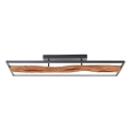 Brilliant - Iluminação de teto LED com regulação CHAUMONT LED/48W/230V borracha de figueira