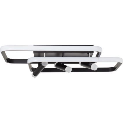 Brilliant - Iluminação de teto LED com regulação DALIDA LED/54W/230V 3000-6500K 45,2x66 cm preto + comando
