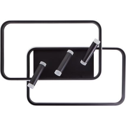 Brilliant - Iluminação de teto LED com regulação DALIDA LED/54W/230V 3000-6500K 45,2x66 cm preto + comando