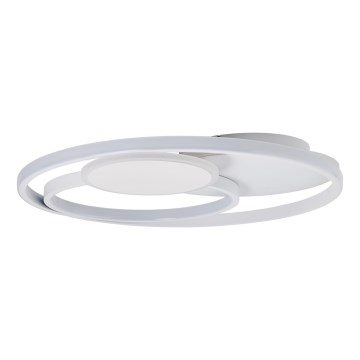 Brilliant - Iluminação de teto LED com regulação RUNDA LED/50W/230V 3000-6500K branco + comando