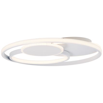 Brilliant - Iluminação de teto LED com regulação RUNDA LED/50W/230V 3000-6500K branco + comando