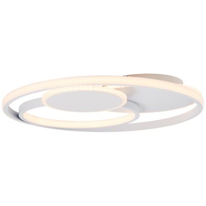 Brilliant - Iluminação de teto LED com regulação RUNDA LED/50W/230V 3000-6500K branco + comando