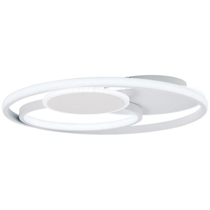 Brilliant - Iluminação de teto LED com regulação RUNDA LED/50W/230V 3000-6500K branco + comando
