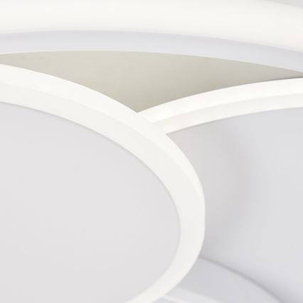 Brilliant - Iluminação de teto LED com regulação RUNDA LED/50W/230V 3000-6500K branco + comando