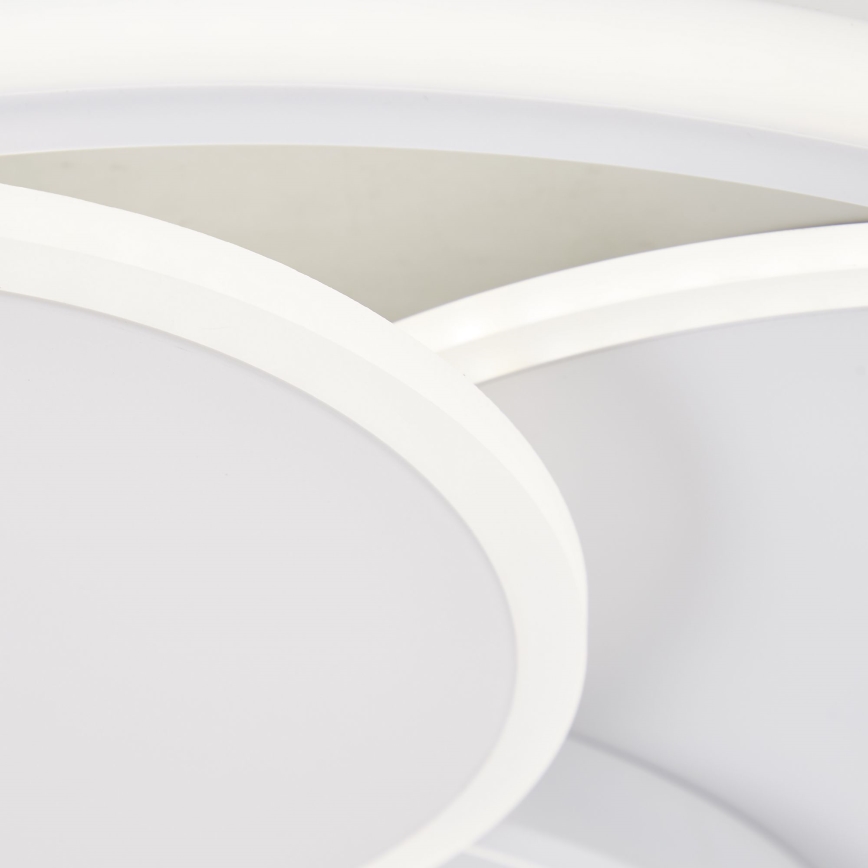 Brilliant - Iluminação de teto LED com regulação RUNDA LED/50W/230V 3000-6500K branco + comando