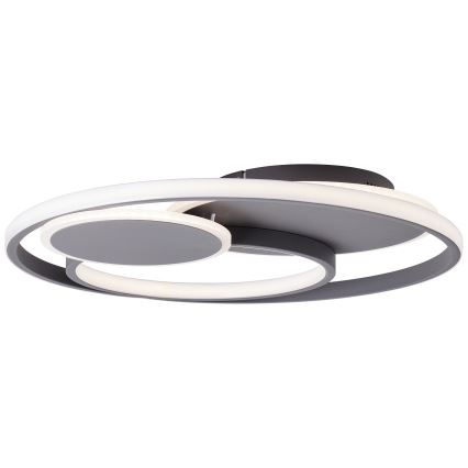 Brilliant - Iluminação de teto LED com regulação RUNDA LED/50W/230V 3000-6500K preto + comando