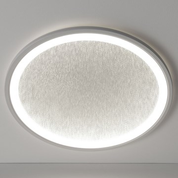 Brilliant - Iluminação de teto LED com regulação TANIDA LED/31W/230V 3000-6500K + comando