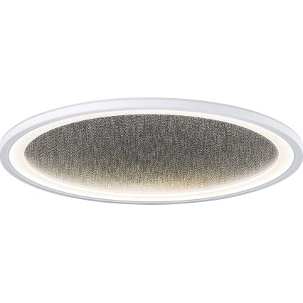 Brilliant - Iluminação de teto LED com regulação TANIDA LED/31W/230V 3000-6500K + comando