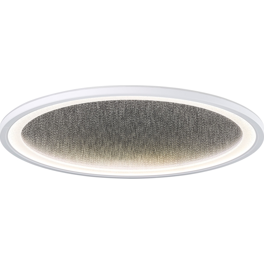 Brilliant - Iluminação de teto LED com regulação TANIDA LED/31W/230V 3000-6500K + comando