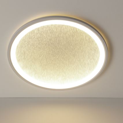 Brilliant - Iluminação de teto LED com regulação TANIDA LED/31W/230V 3000-6500K + comando