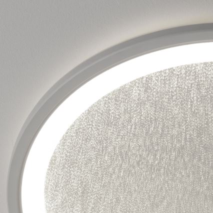 Brilliant - Iluminação de teto LED com regulação TANIDA LED/31W/230V 3000-6500K + comando