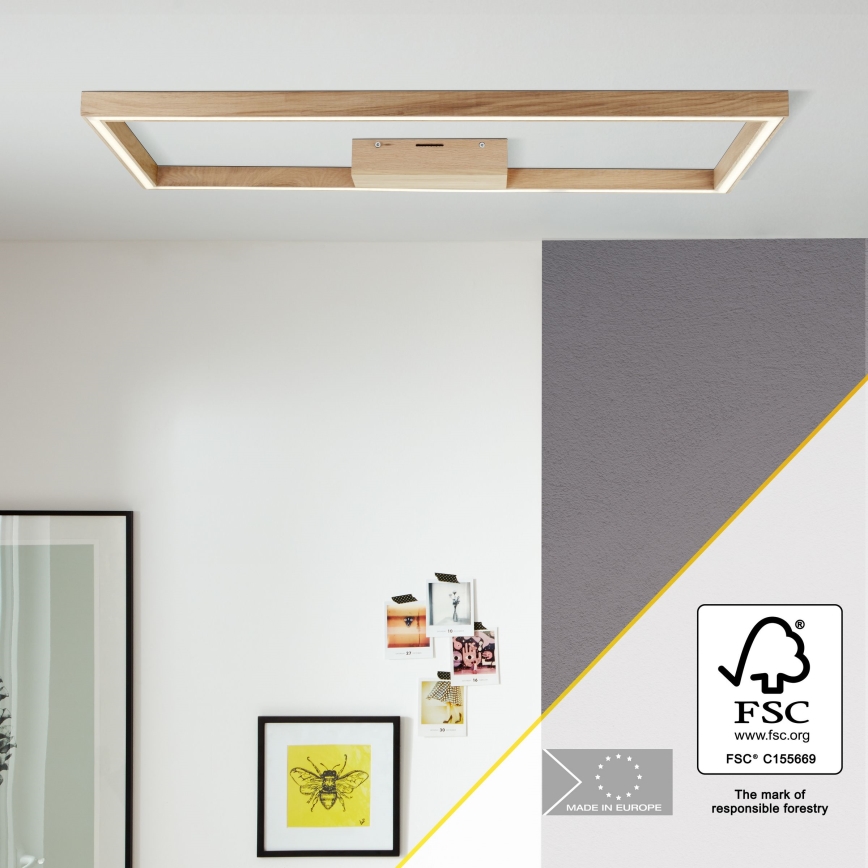 Brilliant - Iluminação de teto LED DELGROSSO LED/24W/230V 3000K carvalho