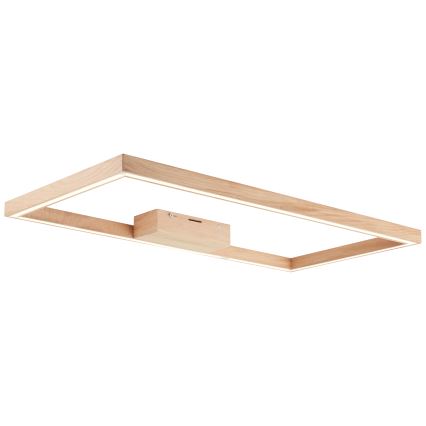 Brilliant - Iluminação de teto LED DELGROSSO LED/24W/230V 3000K carvalho
