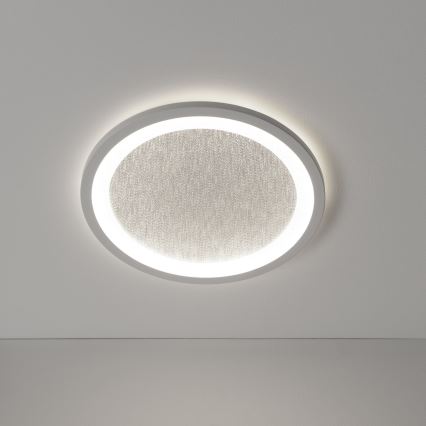 Brilliant - Iluminação de teto LED RGBW com regulação TANIDA LED/22W/230V 3000-6500K+ comando