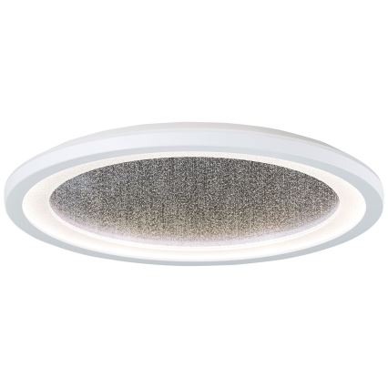 Brilliant - Iluminação de teto LED RGBW com regulação TANIDA LED/22W/230V 3000-6500K+ comando