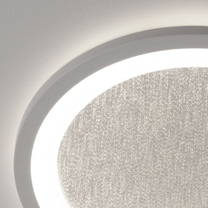 Brilliant - Iluminação de teto LED RGBW com regulação TANIDA LED/22W/230V 3000-6500K+ comando