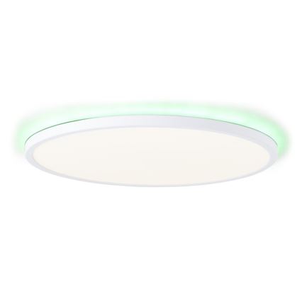 Brilliant - Iluminação de teto LED RGBW com regulação SALTERY LED/22W/230V 3000-6500K + comando