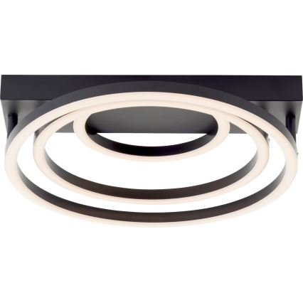 Brilliant - Luminária de teto LED dimável PEDLEY LED/36W/230V preta