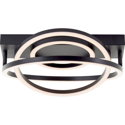 Brilliant - Luminária de teto LED dimável PEDLEY LED/36W/230V preta