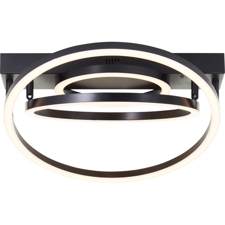 Brilliant - Luminária de teto LED dimável PEDLEY LED/36W/230V preta