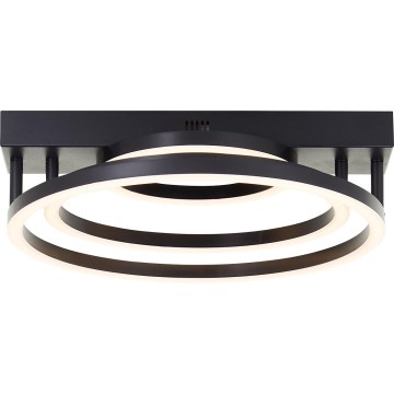 Brilliant - Luminária de teto LED regulável PEDLEY LED/36W/230V preta