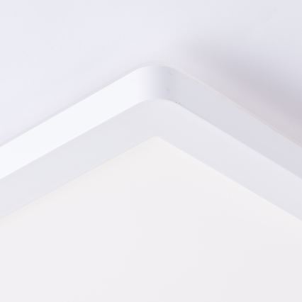 Brilliant - Plafon LED MILTON LED/24W/230V 42x42 cm branco