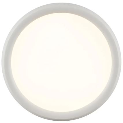 Brilliant - Plafon LED regulável CARLOZ LED/16W/230V diâmetro 30 cm branco
