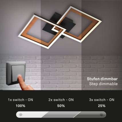 Brilo - Candelabro integrado LED com regulação FRAME 2xLED/11W/230V