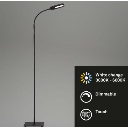 Briloner 1297-015 - Candeeiro de pé LED flexível com regulação LED/6,6W/230V 3000K/4000K/6000K