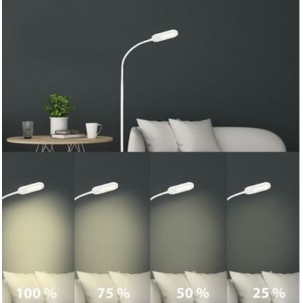 Briloner 1297-016 -  Iluminação de teto LED com regulação LED/8W/230V 3000/4000/6000K