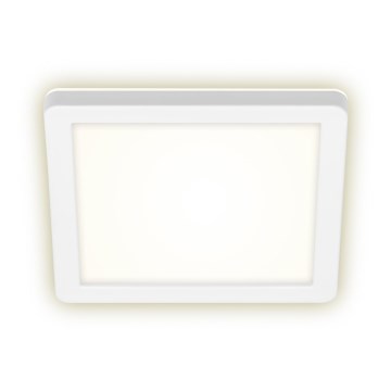 Briloner 3010-016 - Iluminação de teto LED LED/8W/230V 19x19 cm branco IP44